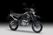 2013 Kawasaki D-Tracker 125 photo